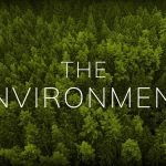 Phụ cấp môi trường là gì? Ai được hưởng phụ cấp môi trường?