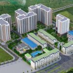 Người độc thân mua nhà ở xã hội
