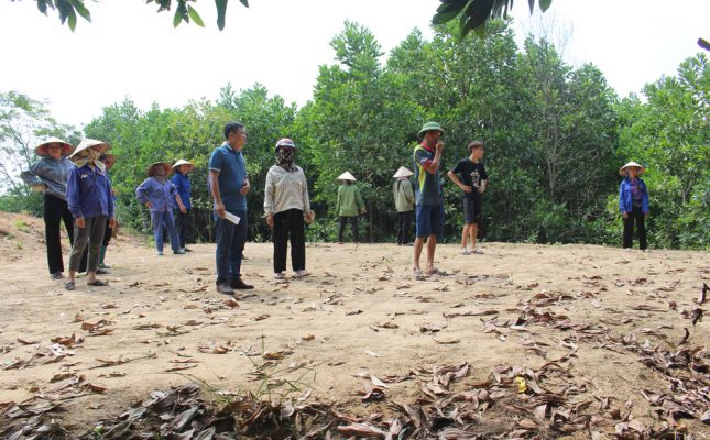hàng xóm lấn chiếm đất