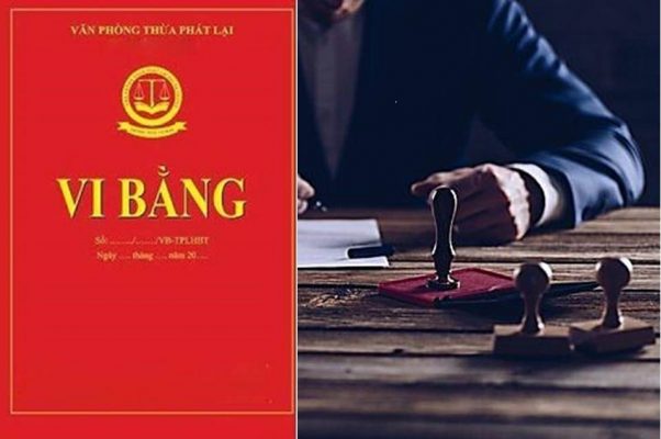 vi bằng ô nhiễm
