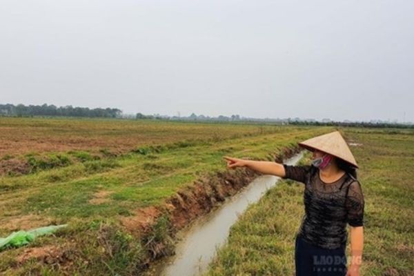 Công chứng hợp đồng mua bán đất vườn