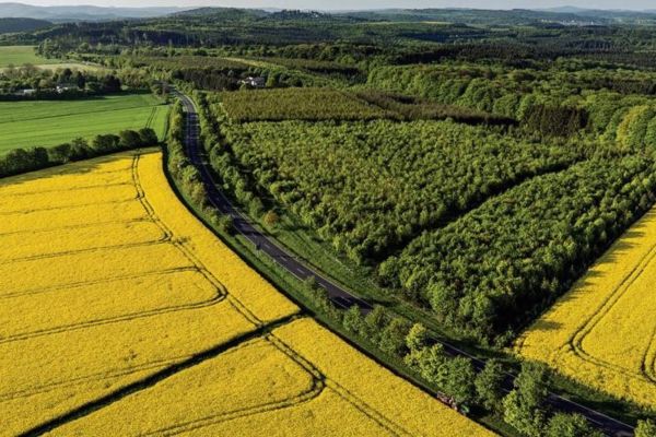 Di chúc để lại đất nông nghiệp thuộc quỹ đất công